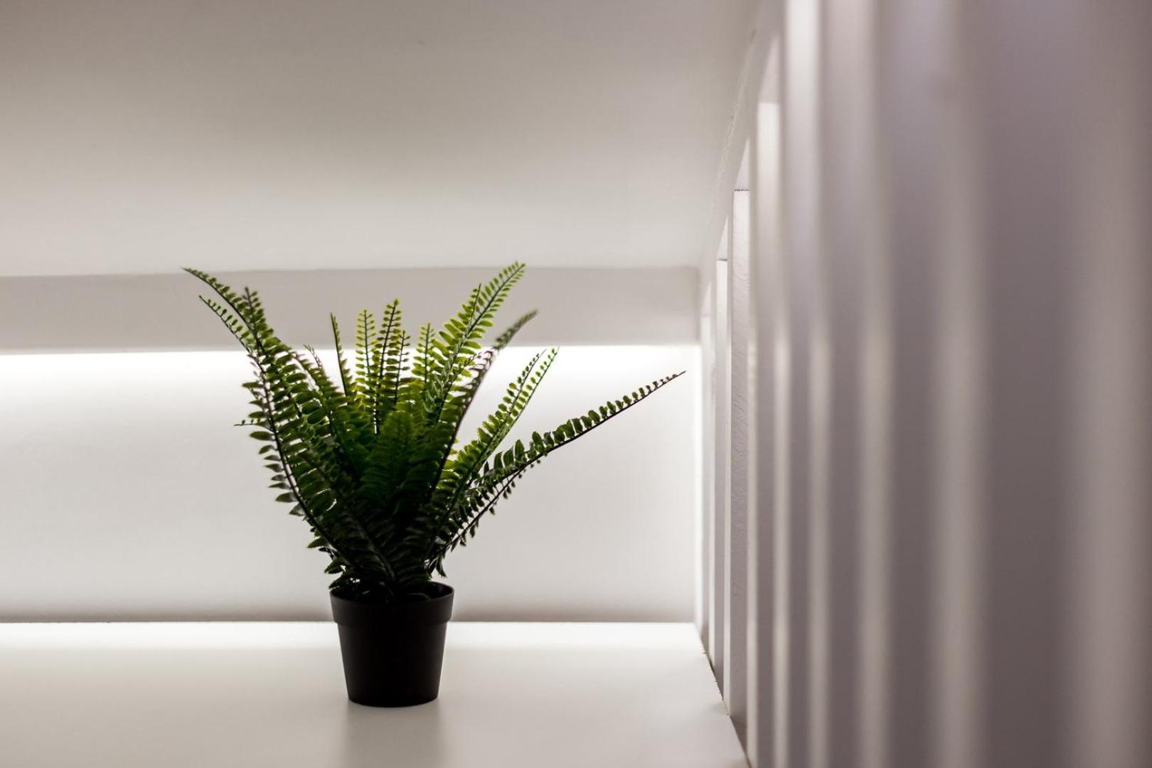Studio Central Jacobins Ail Лион Екстериор снимка